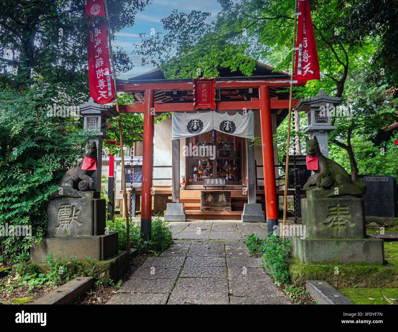 Ikoinarido est un ancien sanctuaire Inari à Tokyo avec des statues de renards kitsune et une porte torii rouge. Japon Banque D'Images