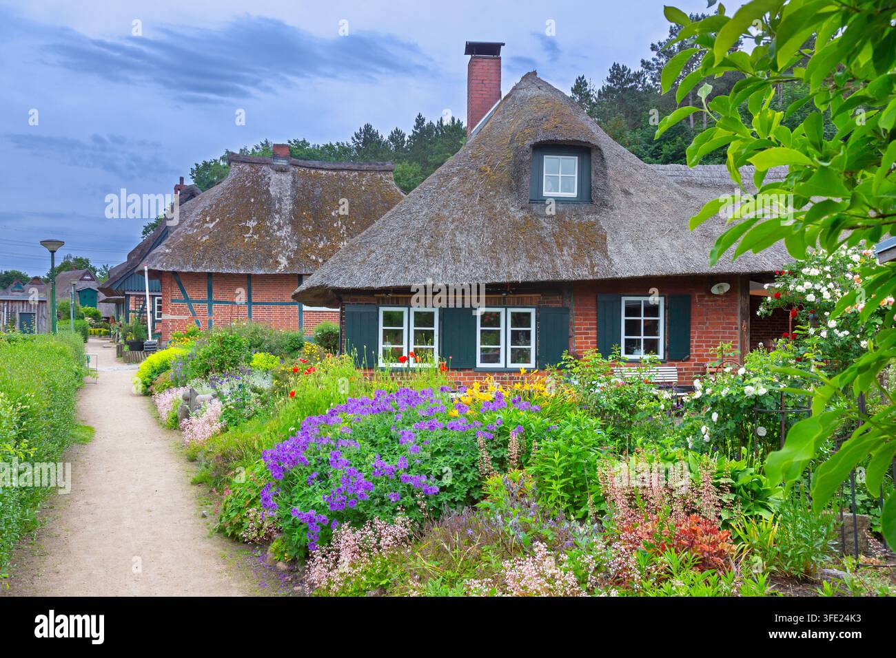 Maisons traditionnelles aux toits de chaume et jardins aux fleurs colorées dans le village de pêcheurs de Gothmund en été, Schleswig-Holstein, Allemagne Banque D'Images