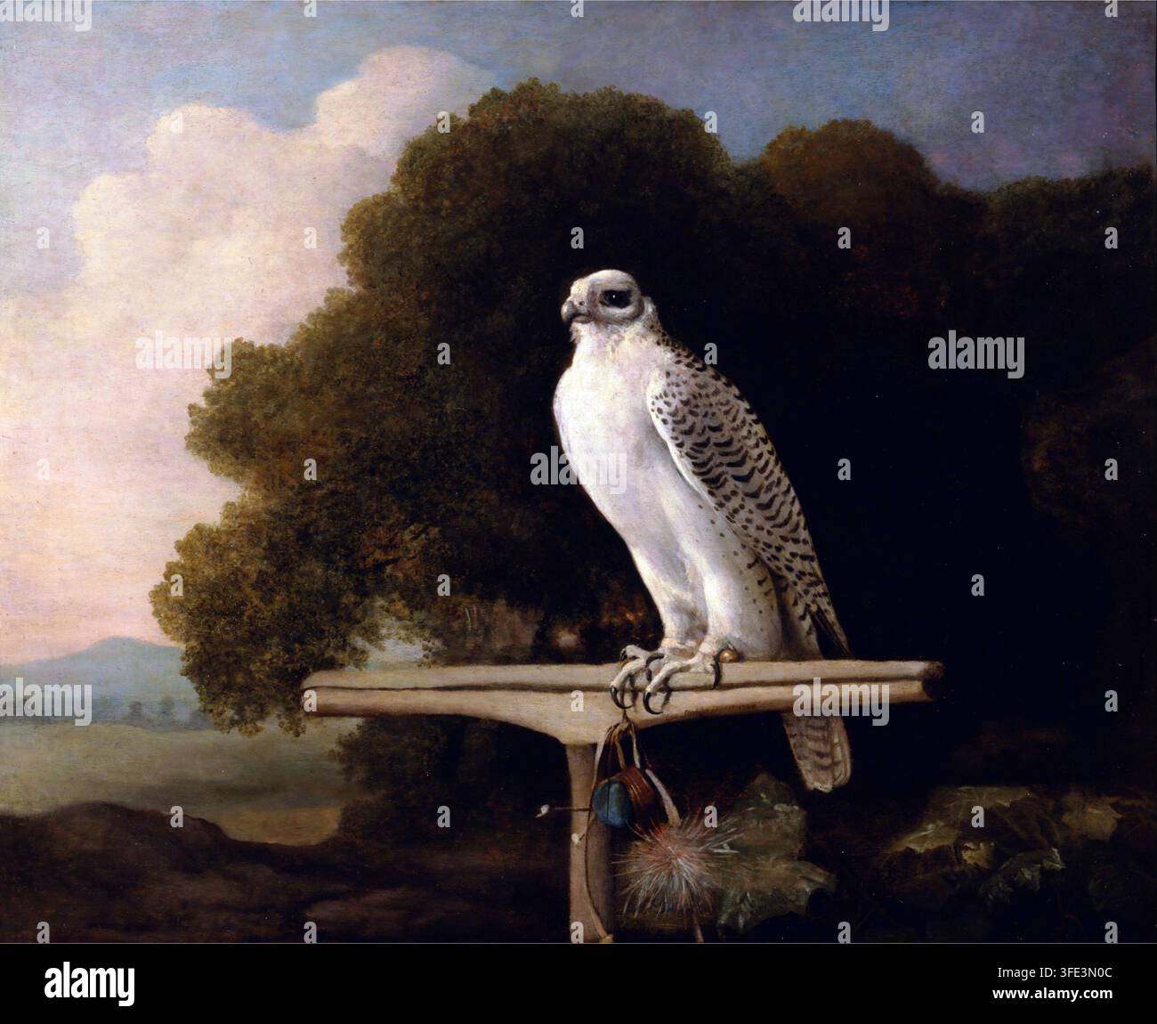 Faucon du Groenland (1780), Peinture de George Stubbs Banque D'Images