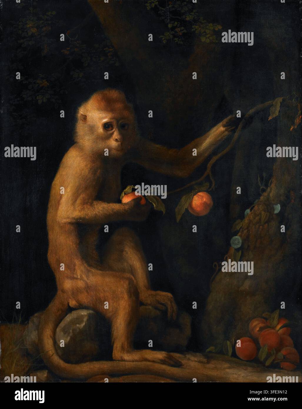 Le Singe (1799), Peinture de George Stubbs Banque D'Images