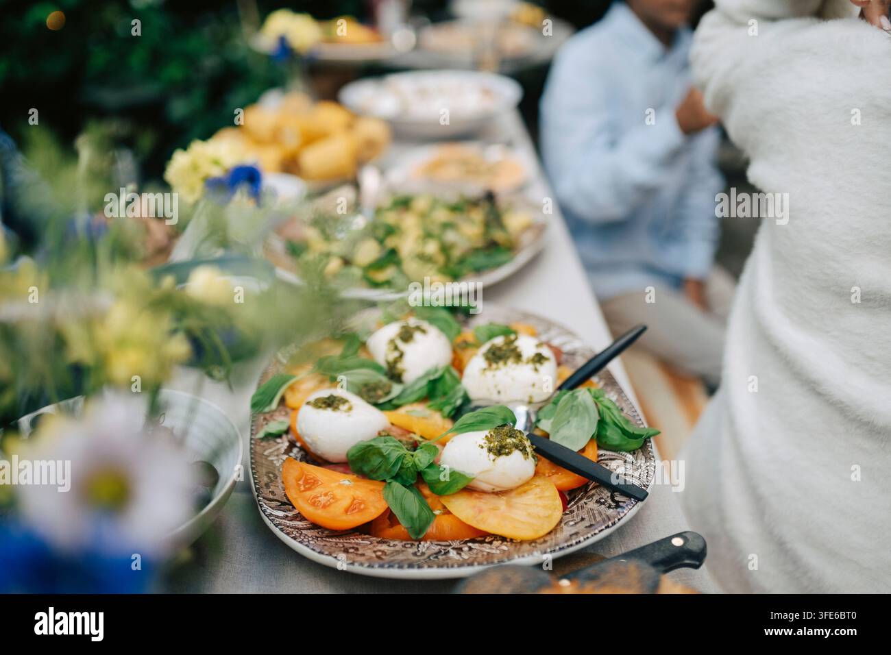 Délicieuse salade caprese sur la table à manger lors d'un déjeuner familial dans le jardin Banque D'Images