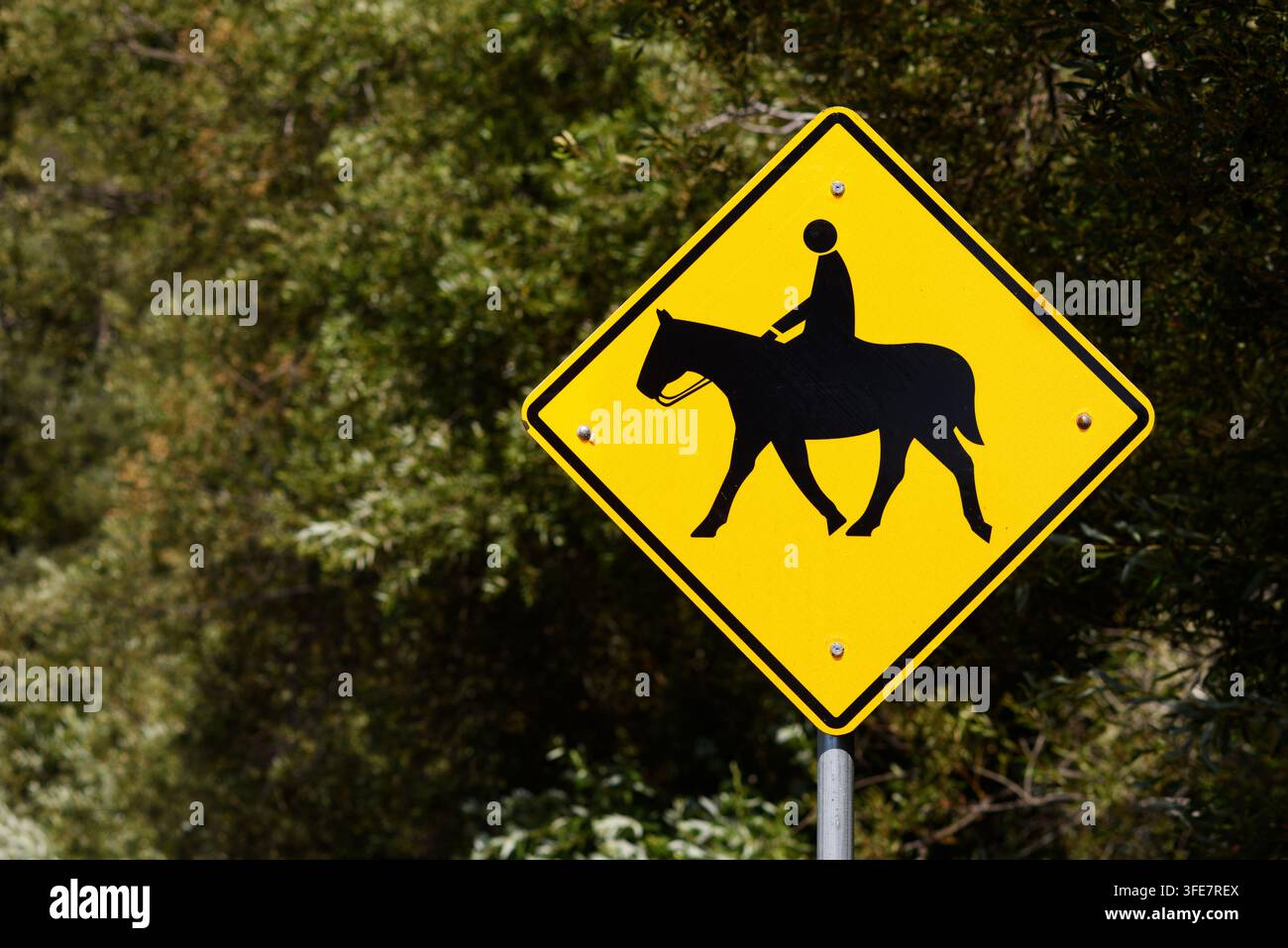 Un panneau de signalisation routier jaune avertissant les conducteurs d'être attentifs à la présence de cavaliers à cheval sur la route devant eux. Banque D'Images