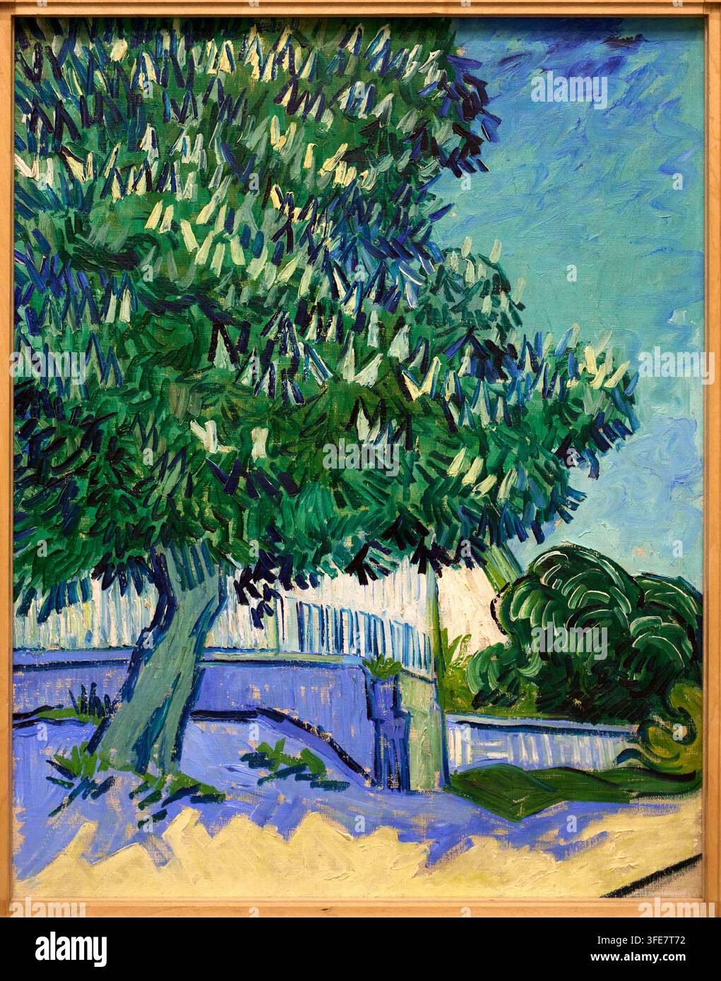 Arbres châtaigniers en fleurs, Auvers-sur-Oise, 1890, Vincent van Gogh (Zundert 1853 - Auvers-sur-Oise 1890), musée Kröller-Müller, De Hoge Veluwe Nation Banque D'Images