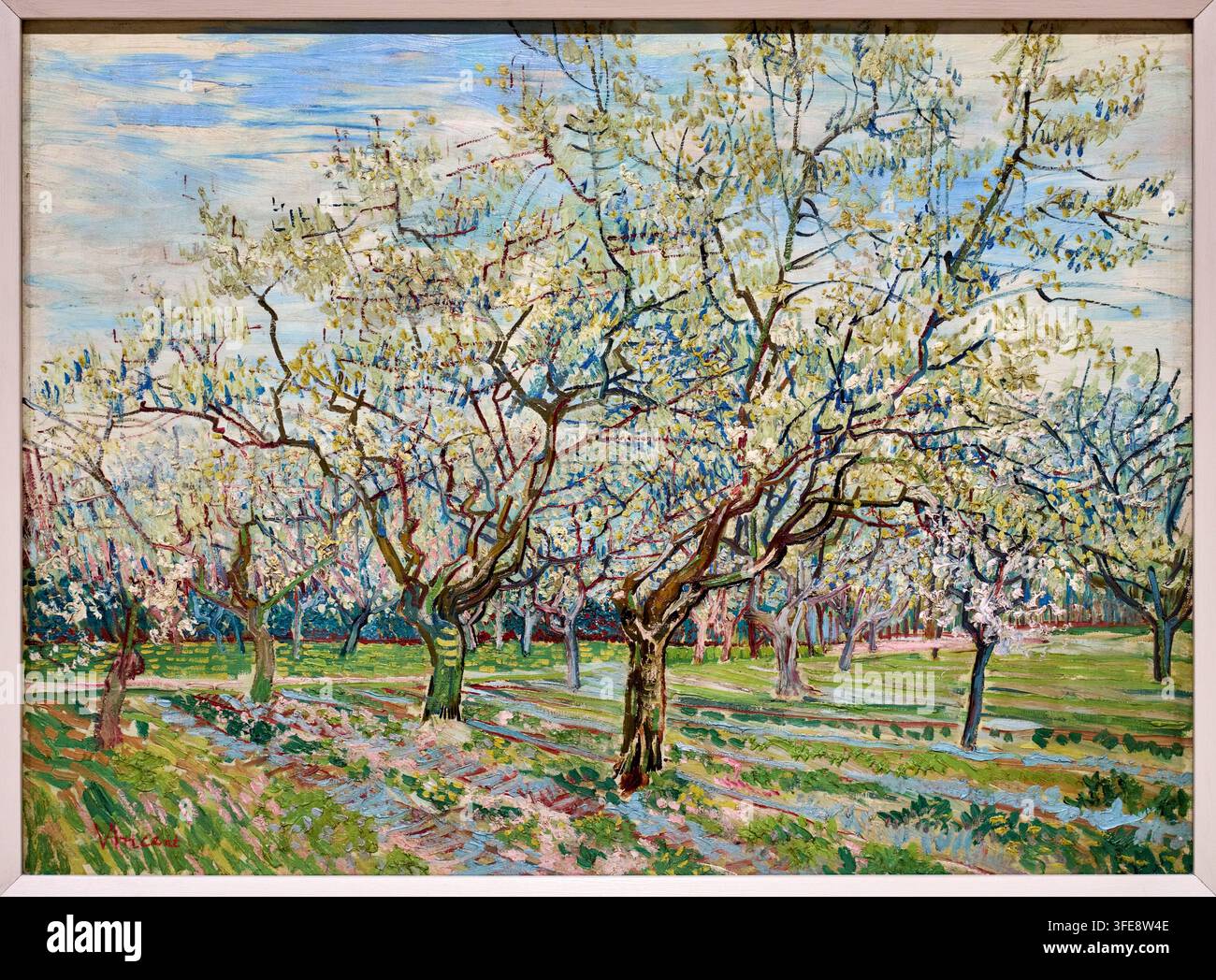Le Verger blanc, 1888, Vincent van Gogh (Zundert 1853 - Auvers-sur-Oise 1890), Musée Van Gogh, Amsterdam, Pays-Bas Banque D'Images