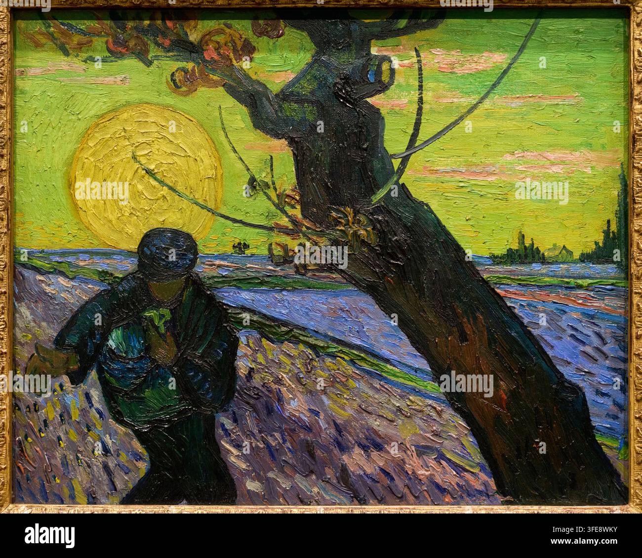Le Semeur, 1888, Vincent van Gogh (Zundert 1853 - Auvers-sur-Oise 1890), Musée Van Gogh, Amsterdam, Pays-Bas Banque D'Images
