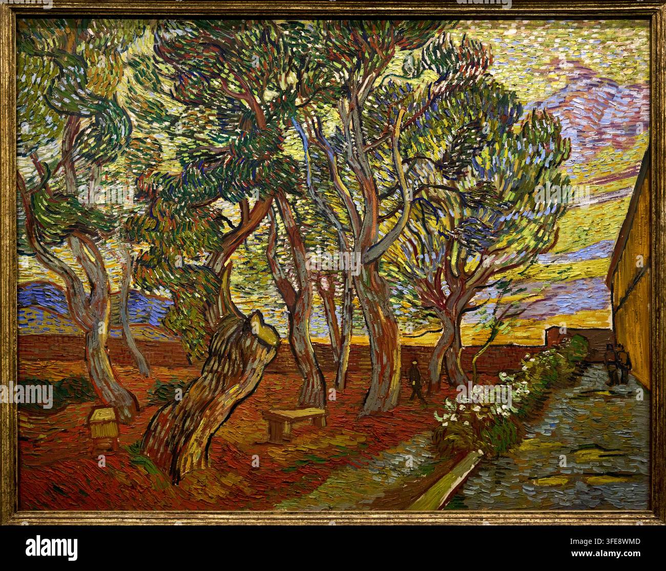Jardin de l'asile, 1889, Vincent van Gogh (Zundert 1853 - Auvers-sur-Oise 1890), Musée Van Gogh, Amsterdam, Pays-Bas Banque D'Images
