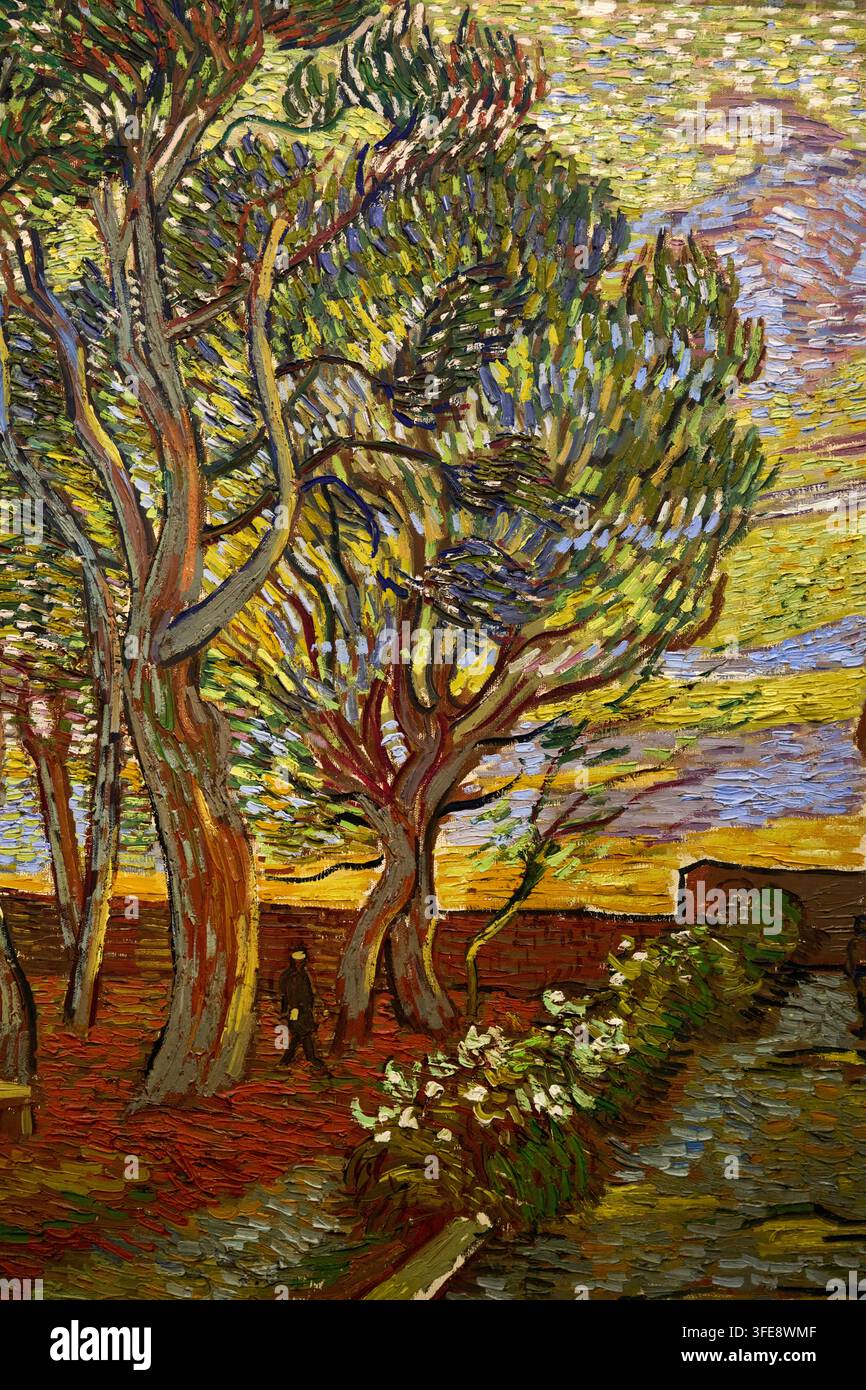 Jardin de l'asile, 1889, Vincent van Gogh (Zundert 1853 - Auvers-sur-Oise 1890), Musée Van Gogh, Amsterdam, Pays-Bas Banque D'Images