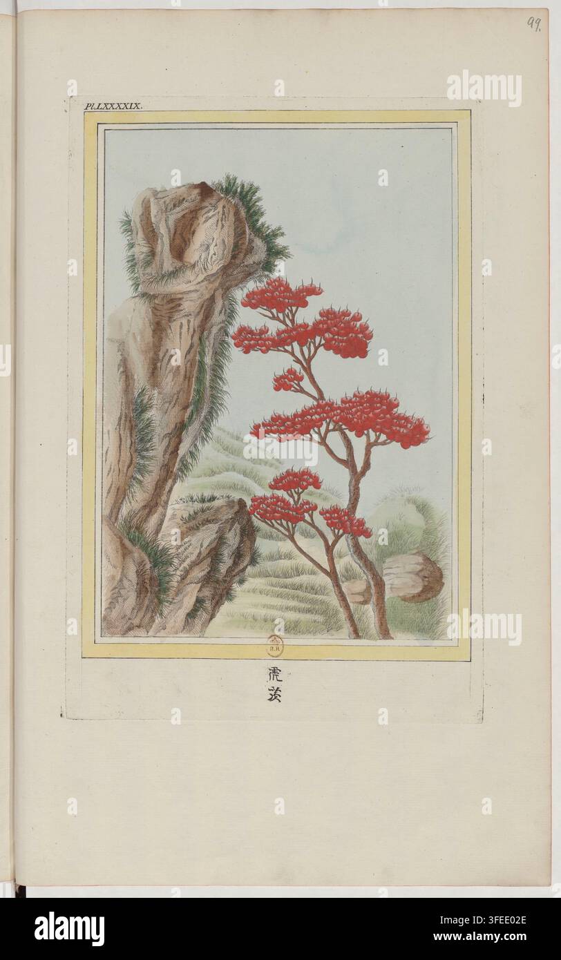 Une gravure de 1776 tirée de "Collection précieuse et enluminée des fleurs les plus belles et les plus curieuses", éditée par Pierre-Joseph Buc'hoz, un éditeur et scientifique français, représentant un affleurement rocheux avec de la mousse et un petit arbre aux fleurs rouges, sur un fond clair avec des collines vertes estompées. Banque D'Images