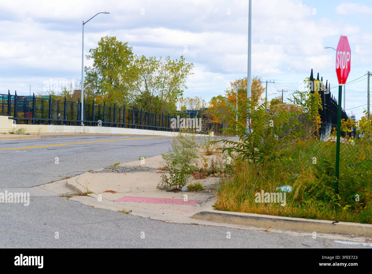 Mansur Street (à gauche) et Piquette Avenue (à droite) dans le quartier largement abandonné de Milwaukee Junction à Detroit, Michigan, États-Unis. Banque D'Images
