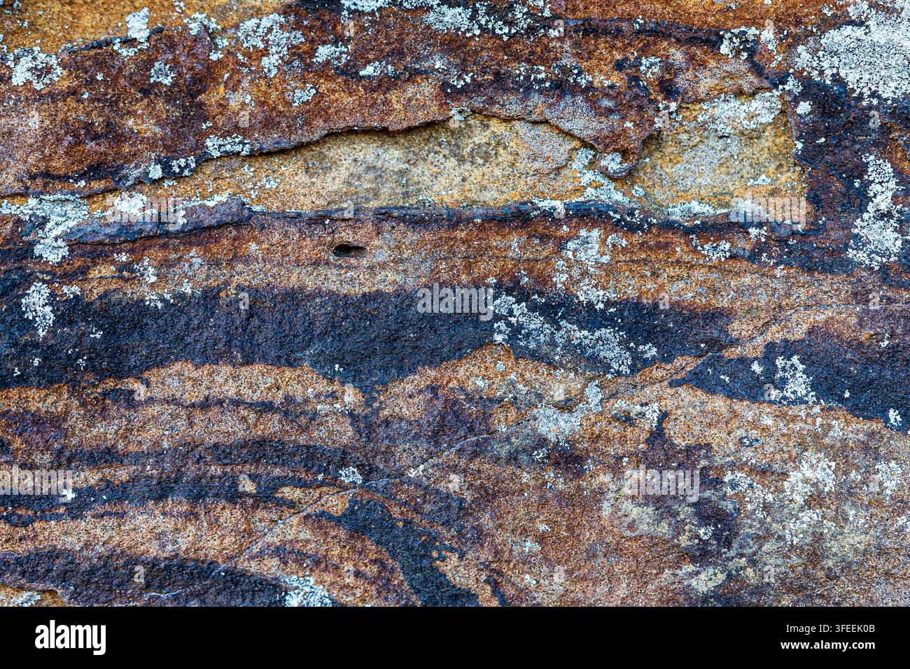 Texture de roche grésoise altérée avec des bandes minérales colorées et une croissance de lichen Banque D'Images