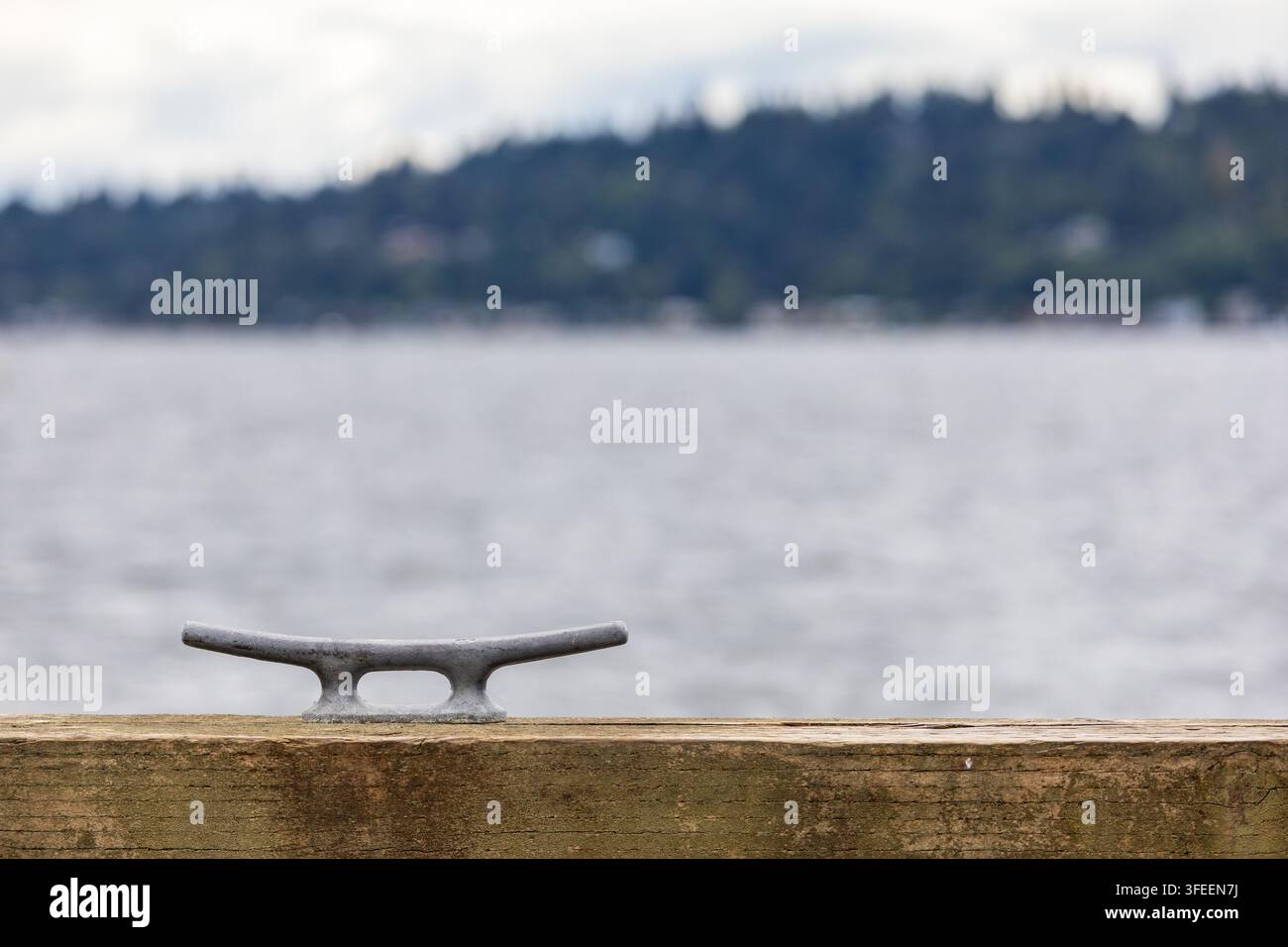 Anneau d'amarrage sur un quai en bois patiné avec une eau doucement floue et une rive lointaine offrant un espace de copie généreux. Banque D'Images
