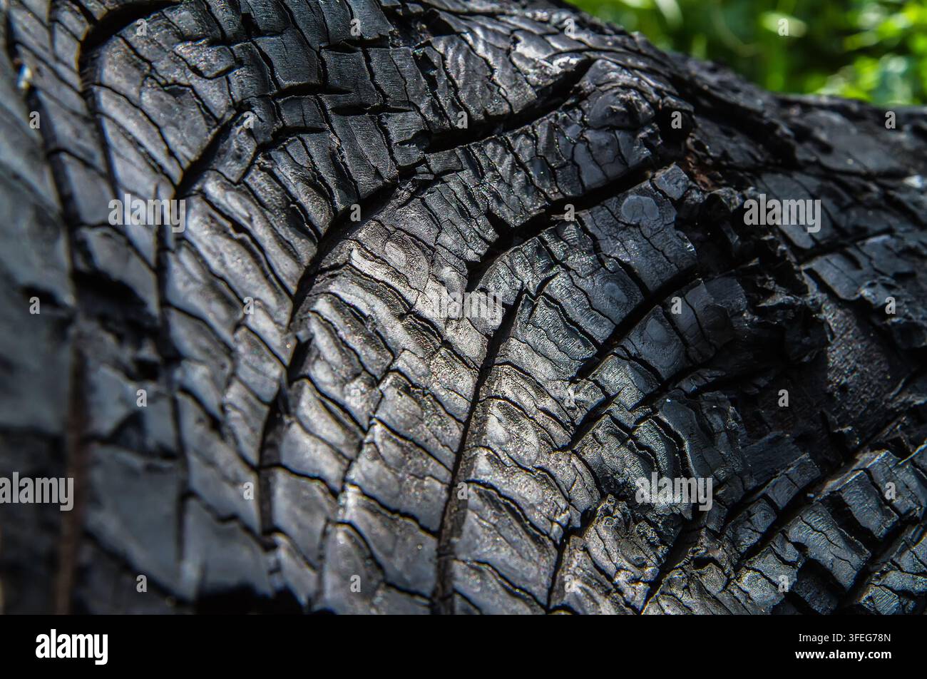 La texture d'un arbre noir brûlé. Bois carbonisé fissuré. Un vieux tronc dans les bois. Banque D'Images