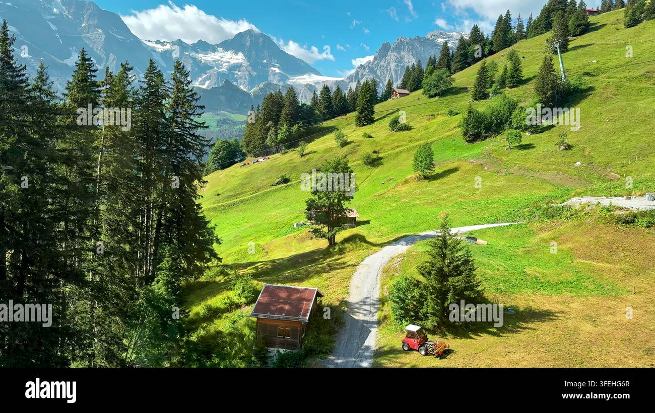 Prairie alpine suisse ensoleillée sous des pics enneigés. Coteau alpin suisse ensoleillé avec prairies verdoyantes, forêt de pins, chalets et une route de gravier sinueuse Banque D'Images