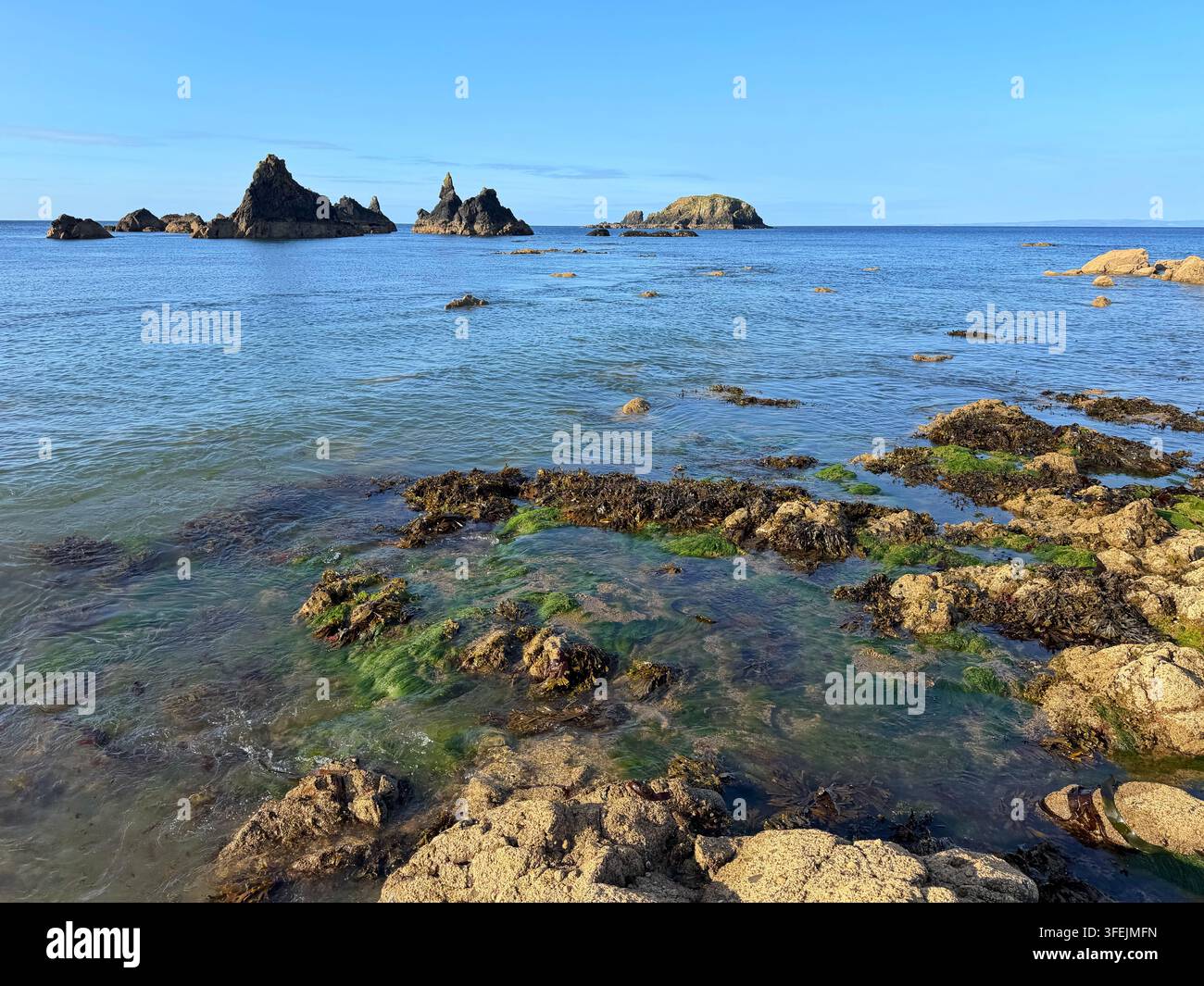 Côte rocheuse de la plage de Kilfarrasy, comté de Waterford, Irlande. - Image de stock capturée avec un smartphone