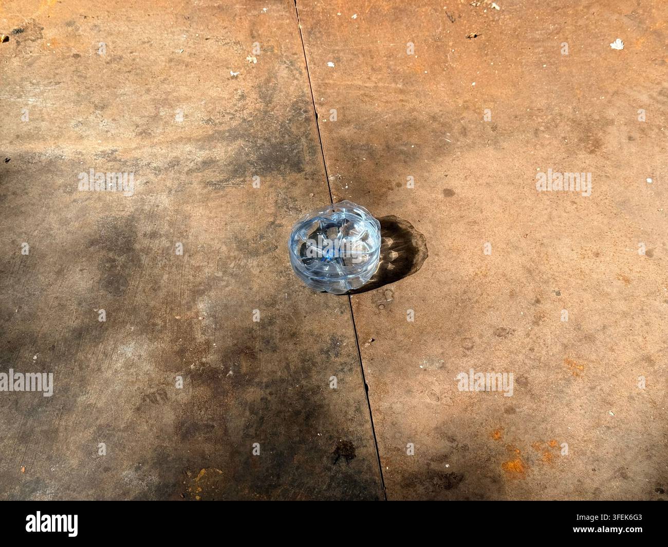 Tunis, Tunisie, 2026. De l'eau est laissée pour un chat de rue dans un bol improvisé fabriqué à partir d'une bouteille en plastique réutilisée pendant une période de chaleur estivale extrême et de graves pénuries d'eau, illustrant les efforts quotidiens pour aider les animaux à faire face à la crise climatique et hydrique croissante de la Tunisie Banque D'Images