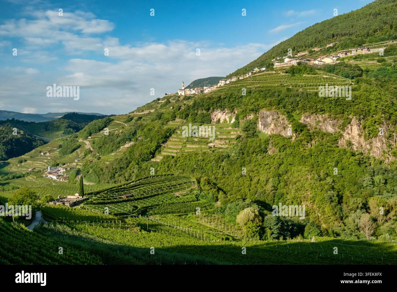 Vignobles en terrasses et village de Segonzano, Trentin, Italie Banque D'Images
