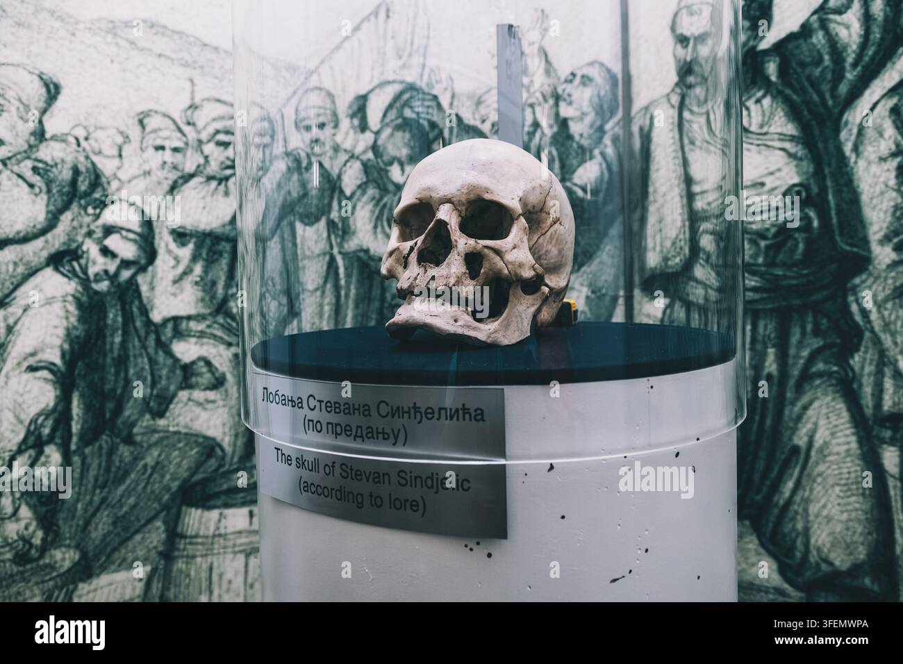 12 juillet 2026, Niš, Serbie : Le crâne de Stevan Sindjelic exposé à la Tour des Crânes représentant un mémorial de guerre solennel et un artefact historique Banque D'Images