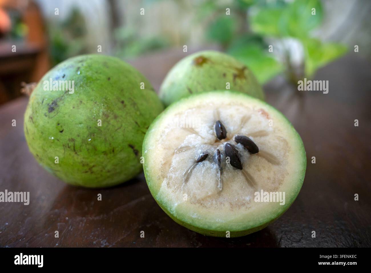 Pomme verte fraîche en forme d'étoile, Caimito (Chrysophyllum cainito) fruits entiers et demi-section montrant les graines sur fond en bois. Banque D'Images