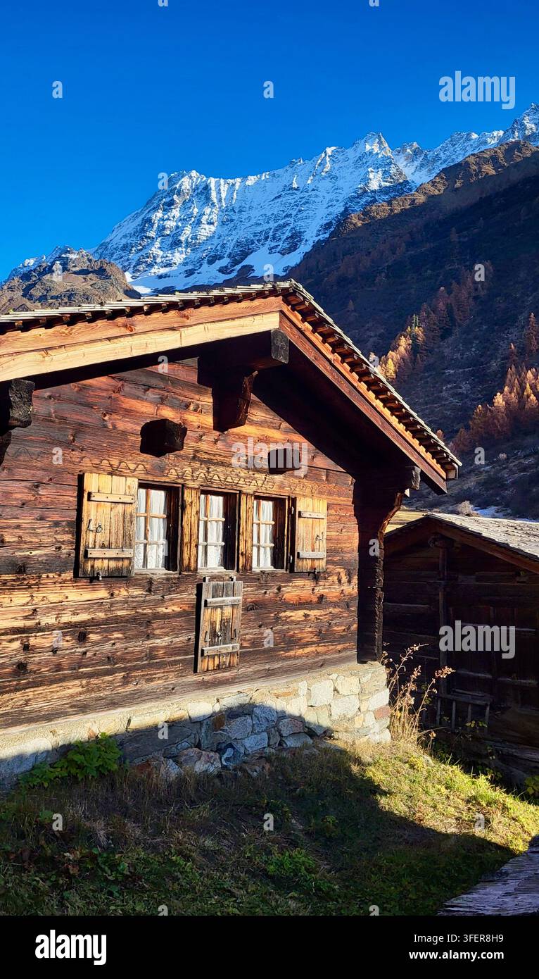 Chalets alpins suisses traditionnels sur Fafleralp en automne avec des mélèzes dorés et un ciel bleu profond, vallée de Lötschen, Suisse Banque D'Images