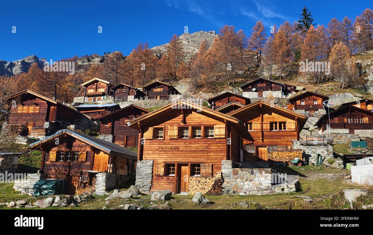 Chalets alpins suisses traditionnels sur Fafleralp en automne avec des mélèzes dorés et un ciel bleu profond, vallée de Lötschen, Suisse Banque D'Images