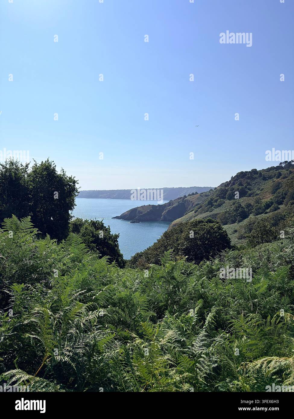 Vue du point Vicard depuis le Repaire du Loup - Image de stock capturée avec un smartphone