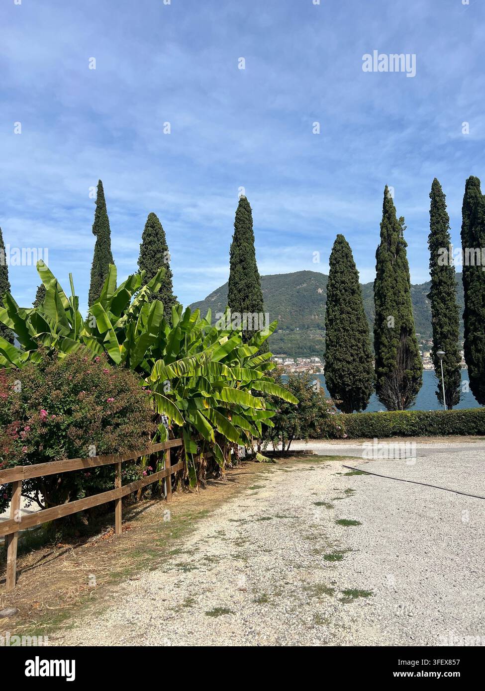 Vues magnifiques de Salò sur le lac de Garde, en Italie, mettant en scène le bord du lac, les bateaux, les plages, les maisons historiques, les cygnes et les paysages naturels pittoresques. Banque D'Images