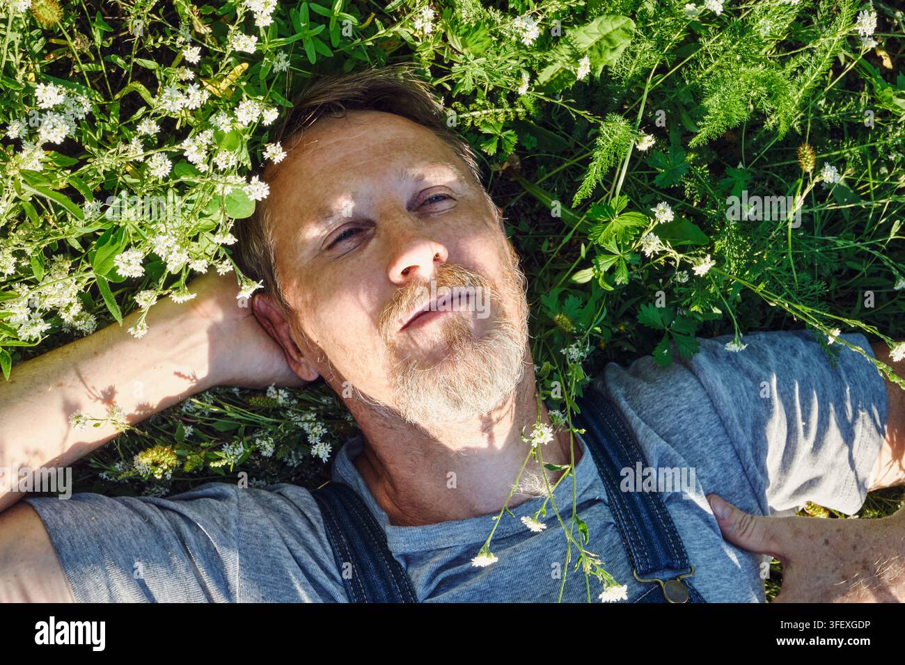 Homme mûr se détendant dans la nature, allongé parmi les fleurs sauvages et profitant d'une solitude paisible Banque D'Images