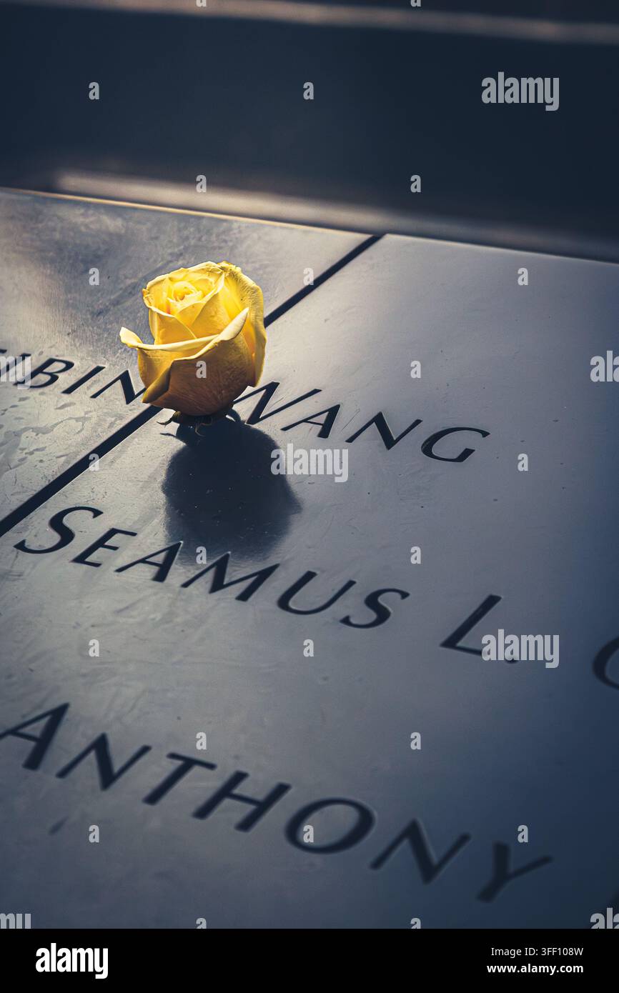 Une rose jaune repose sur le mémorial du 11 septembre à New York et honore ceux qui ont perdu la vie dans les attentats terroristes du 11 septembre 2001. Banque D'Images