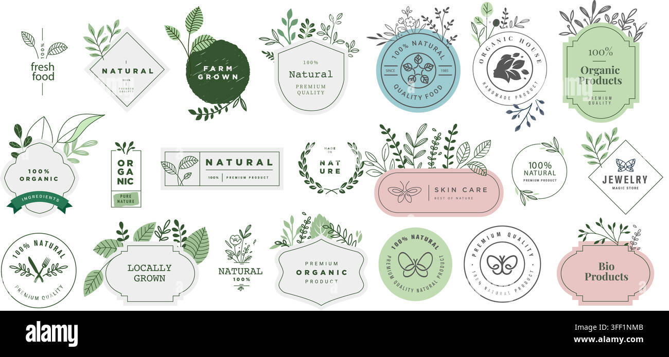 Ensemble d'illustrations vectorielles d'étiquettes biologiques et naturelles comprenant des feuilles vertes, des cadres botaniques, des badges bio, des logos de soins de la peau et des tampons éco. Illustration de Vecteur