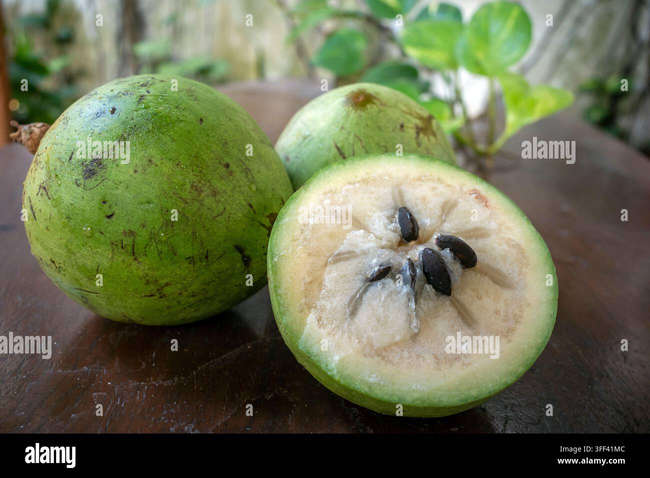 Pomme verte fraîche en forme d'étoile, Caimito (Chrysophyllum cainito) fruits entiers et demi-section montrant les graines sur fond en bois. Banque D'Images