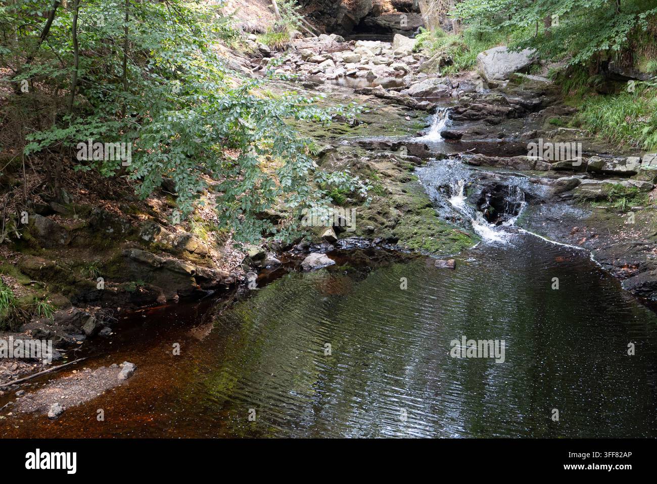 De petites cascades descendent sur des rochers dans un bassin forestier calme à Hoegne Ardennes en Belgique, entouré d’une végétation luxuriante, créant une nature pittoresque pour la randonnée Banque D'Images