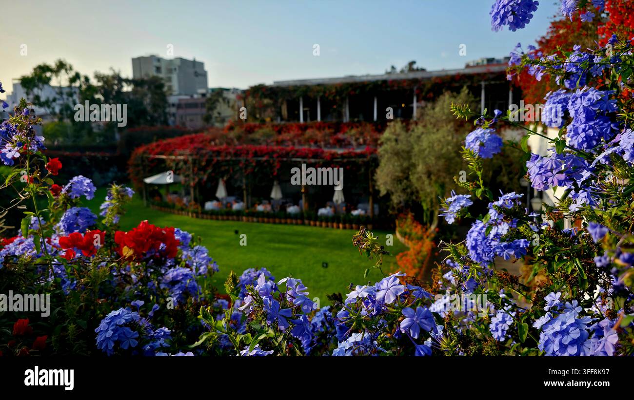 Beaux jardins du musée Larco à Lima - Image de stock capturée avec un smartphone