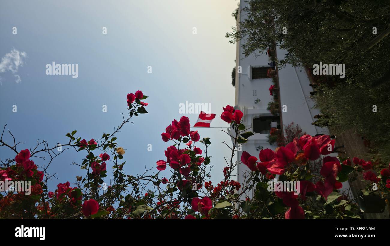 Beaux jardins au Pérou - Image de stock capturée avec un smartphone