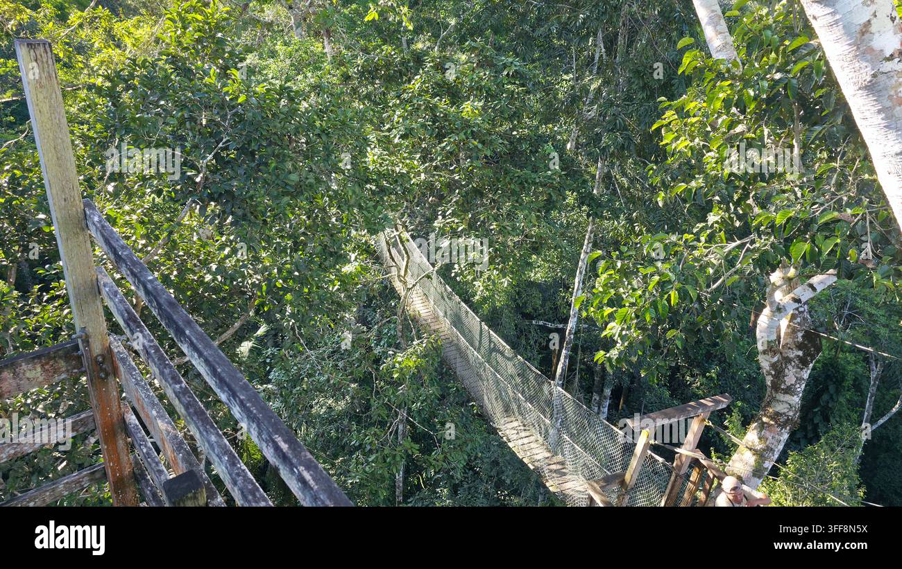Ponts suspendus en Amazonie - Image de stock capturée avec un smartphone
