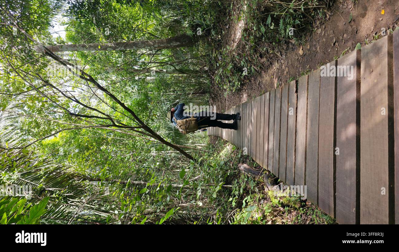 Un homme prend une photo dans l'Amazone - Image de stock capturée avec un smartphone