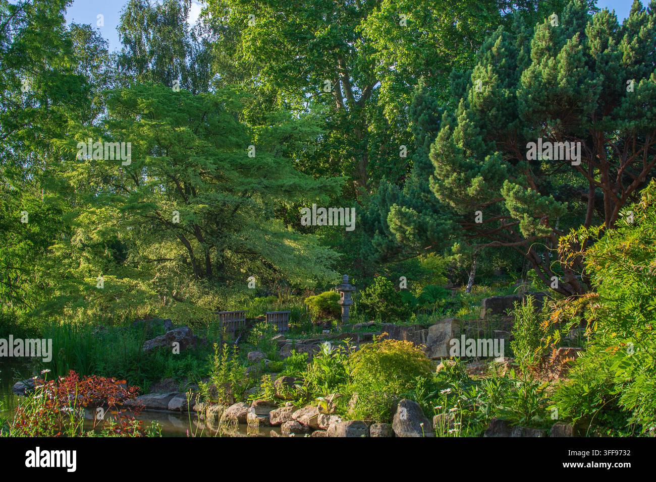 Île du jardin japonais, Regents‘ Park, Londres, été. Jardins japonais à Londres Banque D'Images