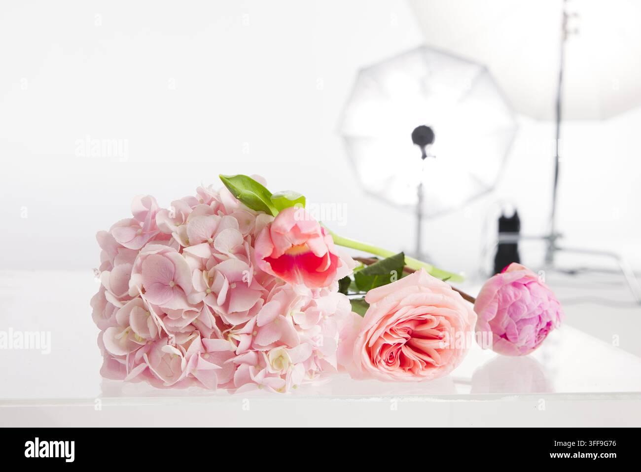 Photographie élégante de nature morte en studio d'un bouquet de fleurs roses pastel comprenant de l'hortensia, de la rose de jardin et de la tulipe disposées sur une surface blanche. Banque D'Images