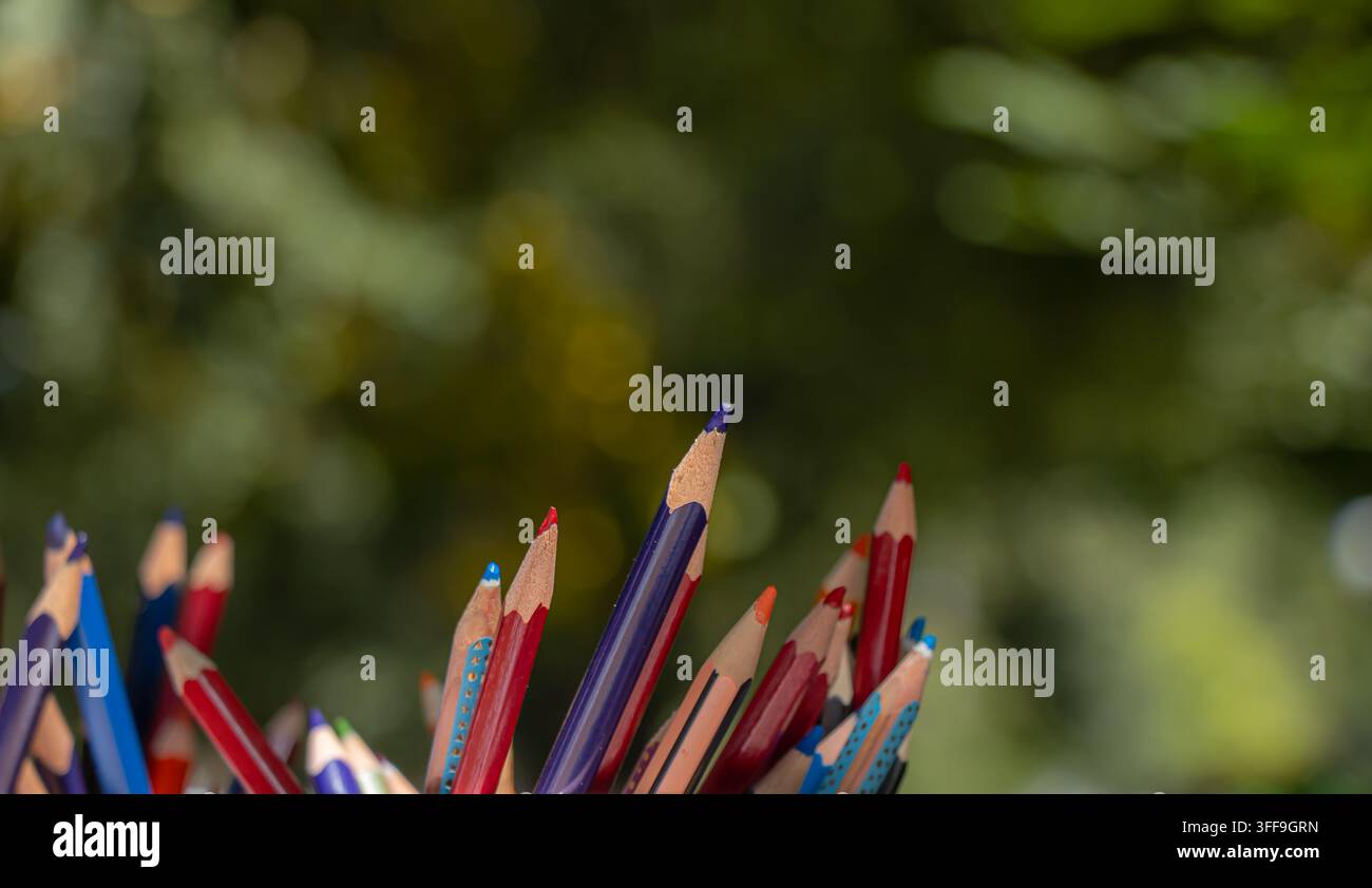 Crayons de couleur variés s'élevant du cadre inférieur contre un bokeh vert doux, laissant un espace de copie généreux pour la conception scolaire, artistique et éducative créative Banque D'Images