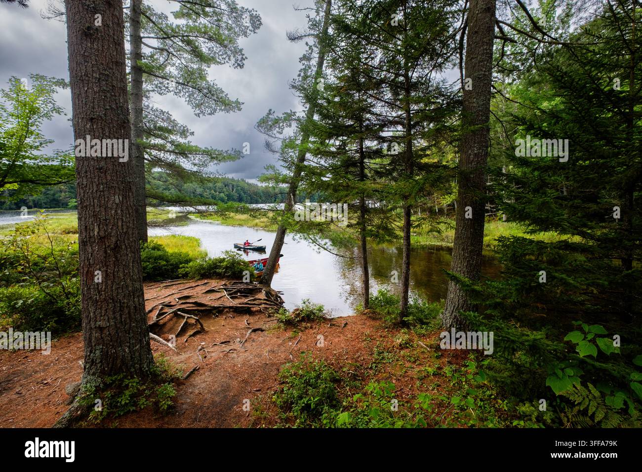 Paddlers au Little Square Pond dans les monts Adirondack de l'État de New York, États-Unis, au Little Square Pond dans les monts Adirondack de l'État de New York Banque D'Images