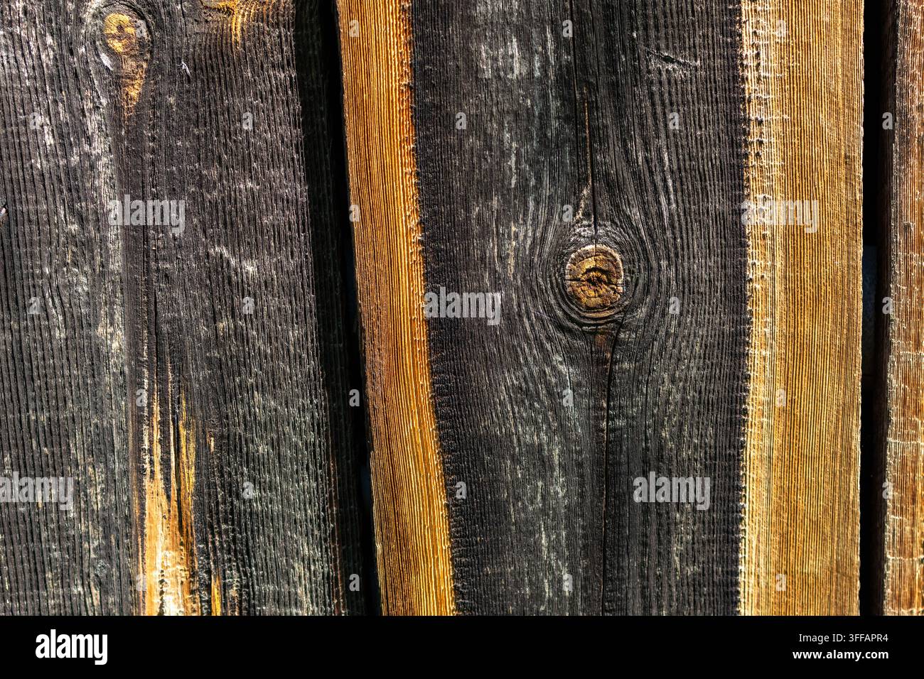 Planches de bois rugueuses avec un nœud circulaire proéminent affichant des anneaux dramatiques et des tons carbonisés, la lumière du soleil révèle les détails de la veine du bois, offrant un fond rustique sombre Banque D'Images