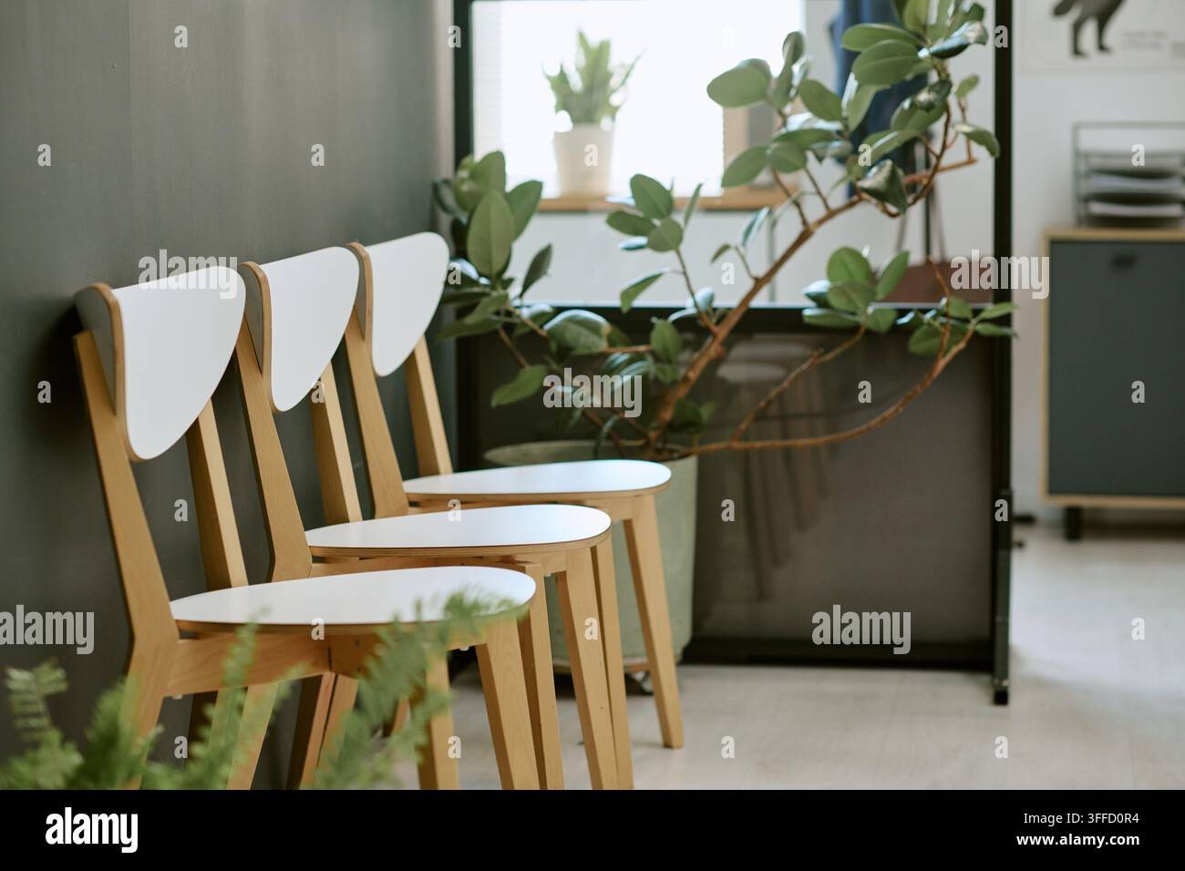 Salle d'attente de la clinique vétérinaire préparée pour la consultation des patients Banque D'Images