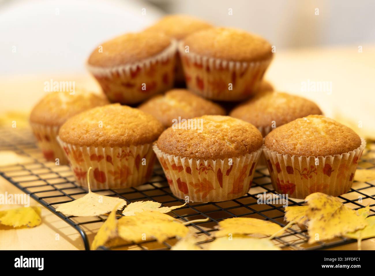 Un lot de muffins dorés sur le brun reposant dans des moules en papier décorés de motifs de feuilles d'automne se trouve sur une grille de refroidissement en fil noir, entouré de feuilles d'automne jaunes. T Banque D'Images