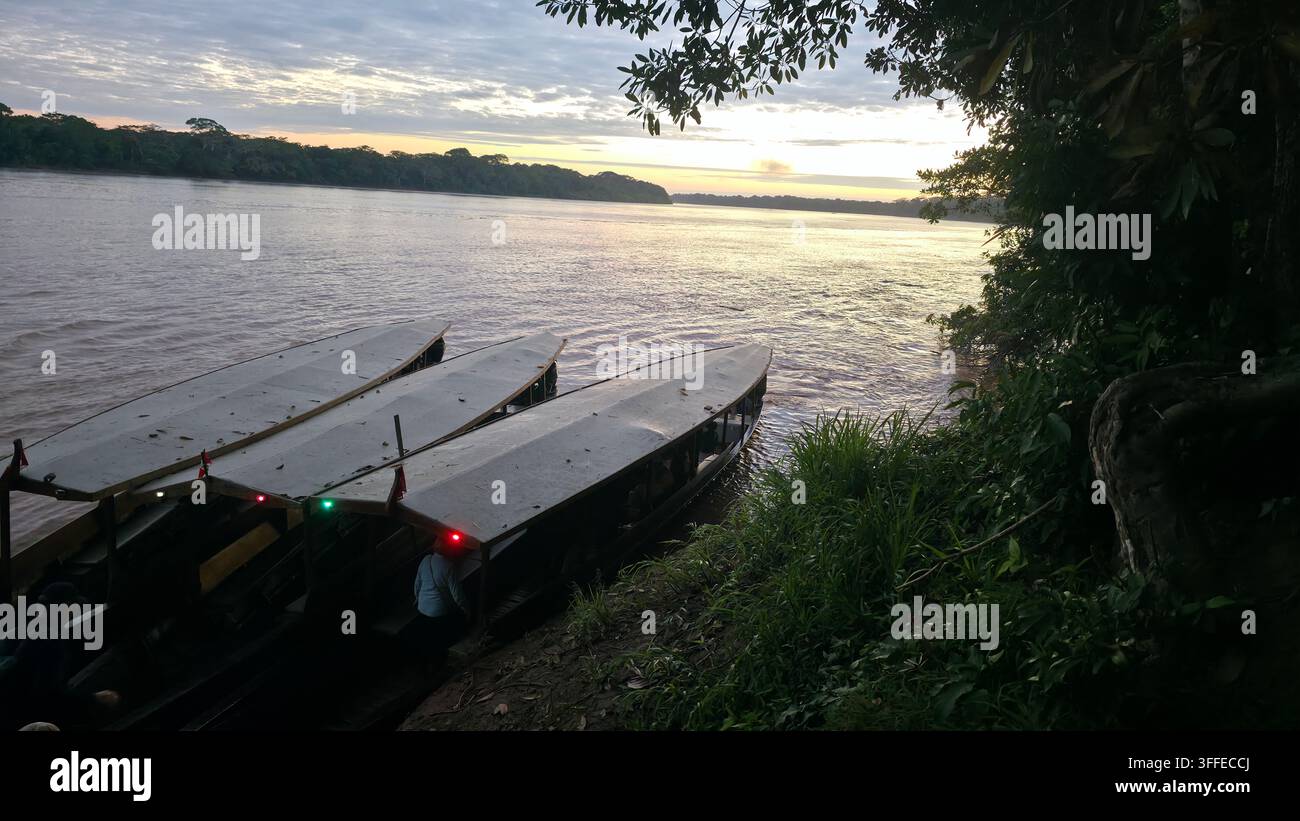 Sunrice à l’Amazonie du Pérou - Image de stock capturée avec un smartphone