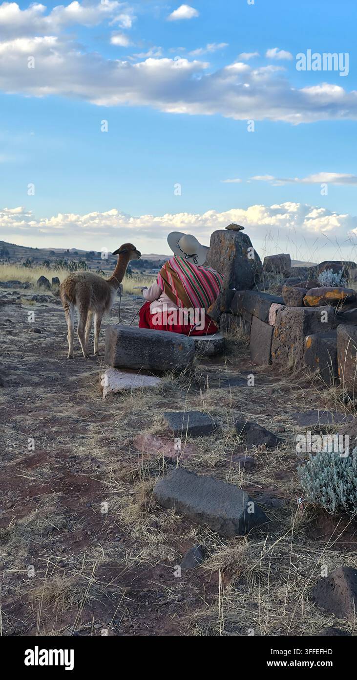 Femme avec lama assise sur une pierre au Pérou - Image de stock capturée avec un smartphone