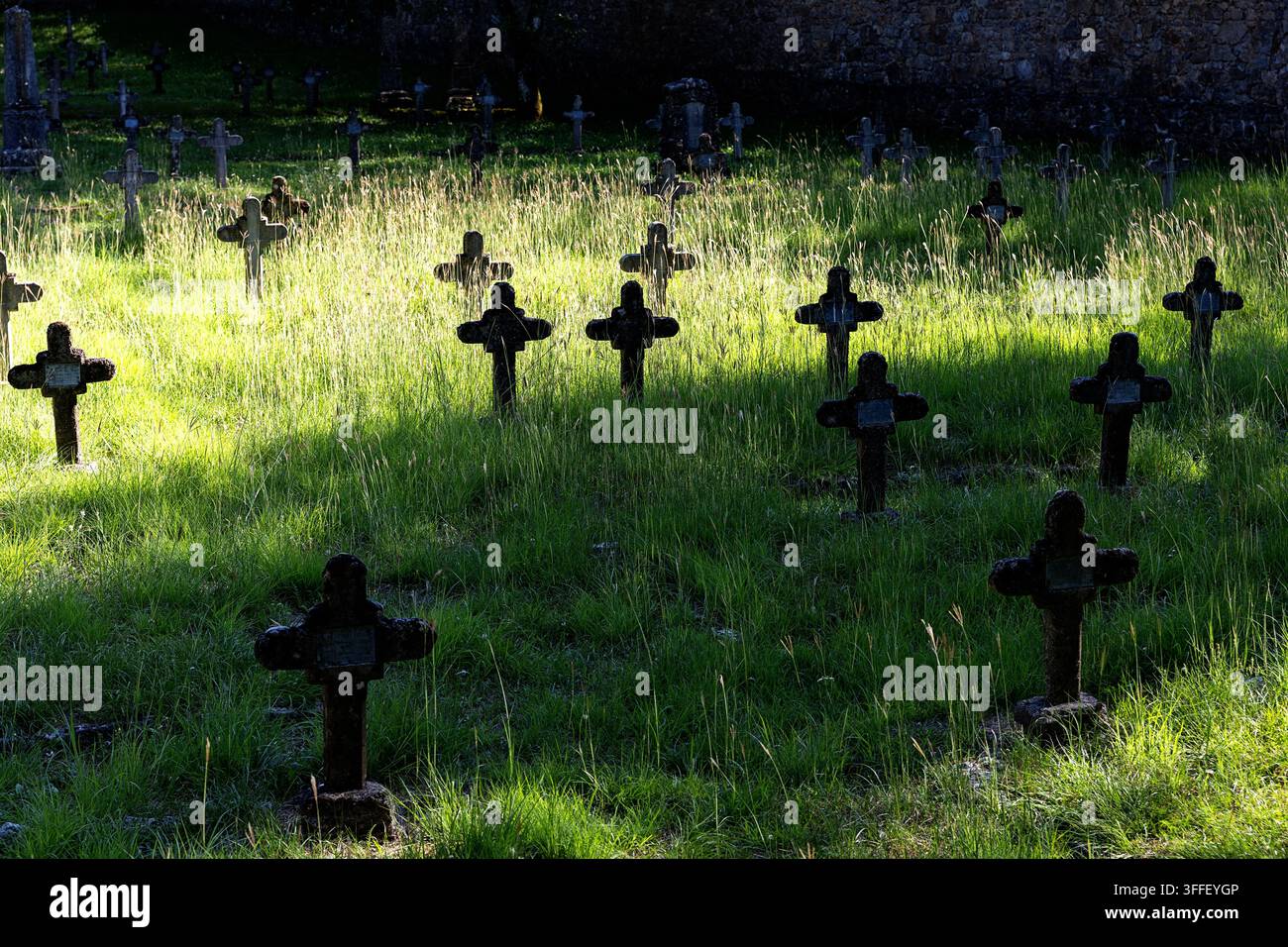 Cimetière militaire austro-hongrois historique avec des pierres tombales en pierre érodées de soldats de la Première Guerre mondiale parmi les arbres d'automne à Brje pri Komnu. Banque D'Images