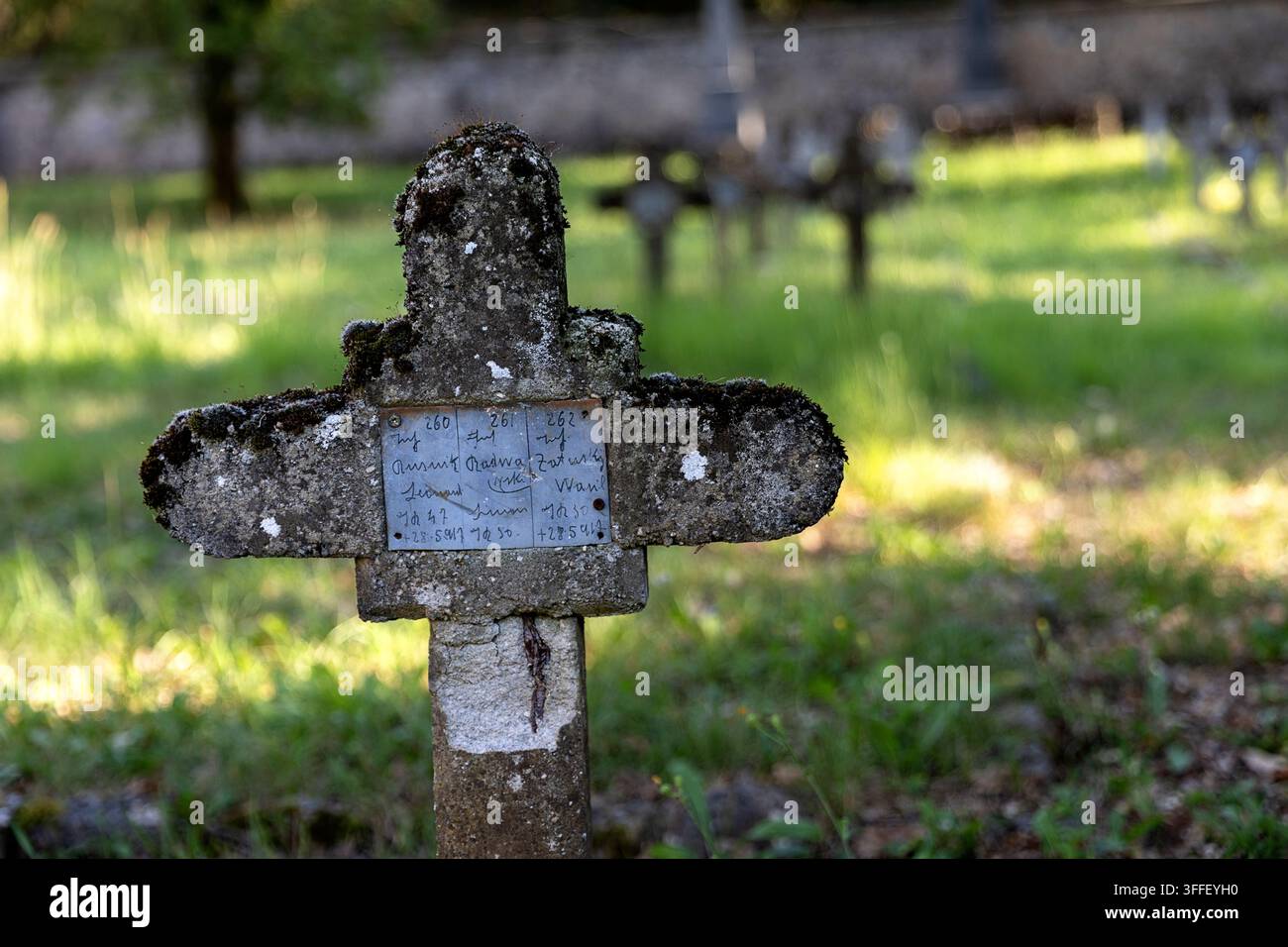 Cimetière militaire austro-hongrois historique avec des pierres tombales en pierre érodées de soldats de la Première Guerre mondiale parmi les arbres d'automne à Brje pri Komnu. Banque D'Images