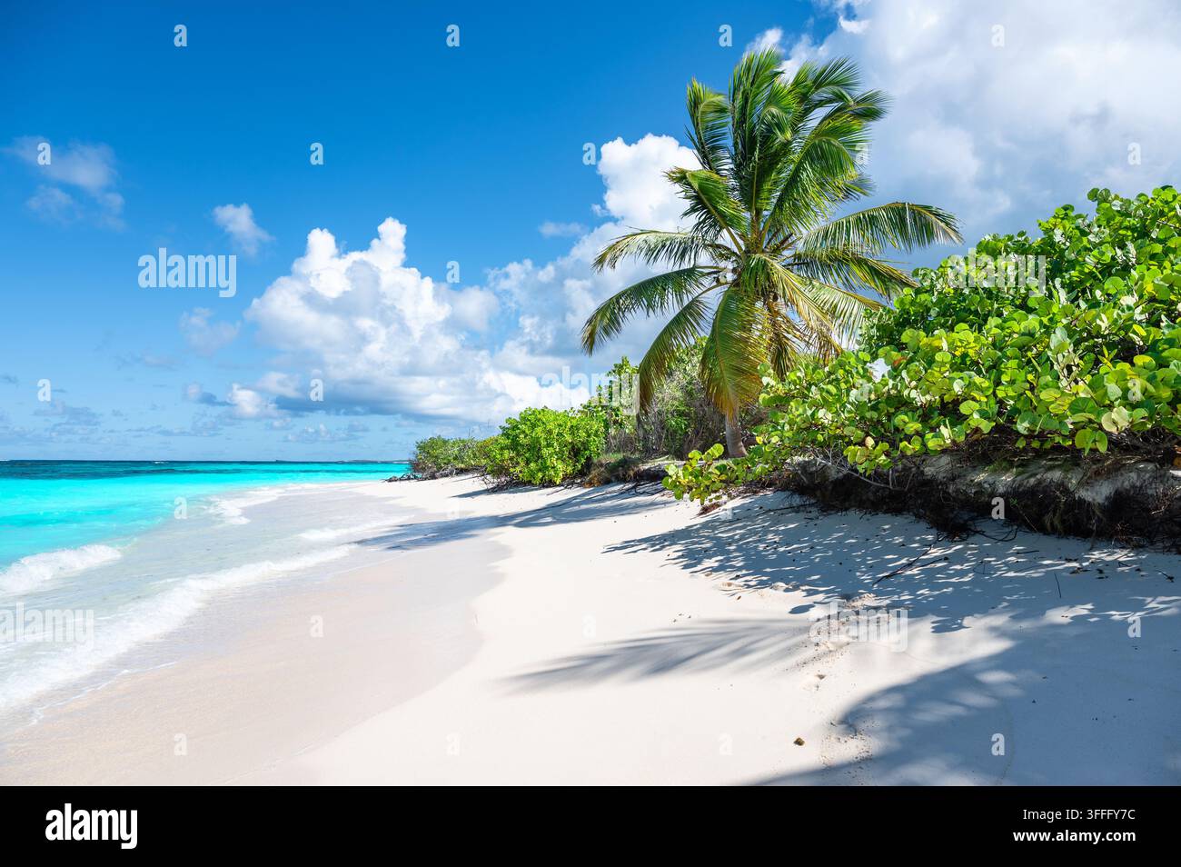 Plage tropicale de Shoal Bay à Anguilla, Caraïbes Banque D'Images
