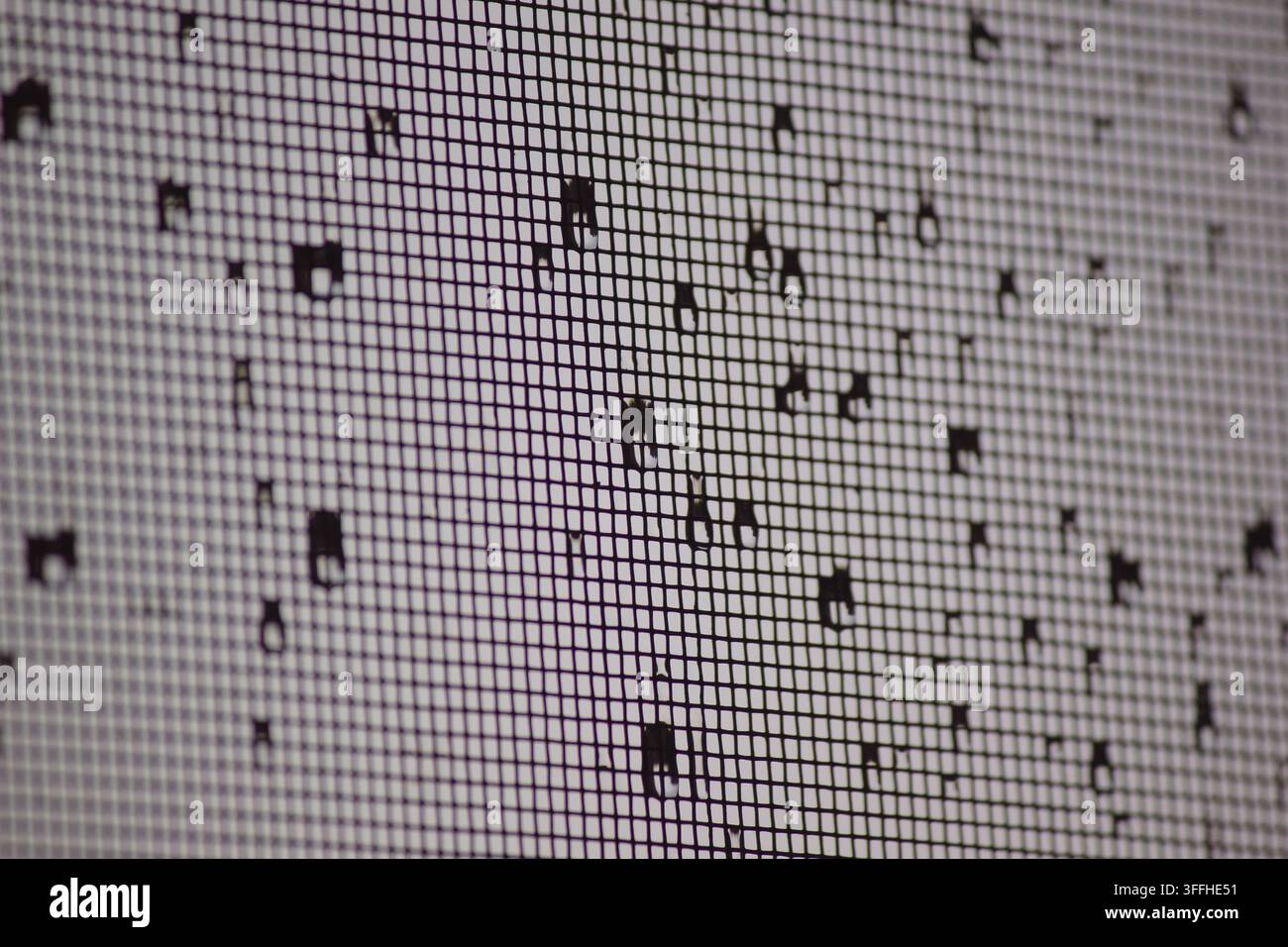 Macro de la texture du treillis de fenêtre recouverte de gouttelettes d'eau Banque D'Images