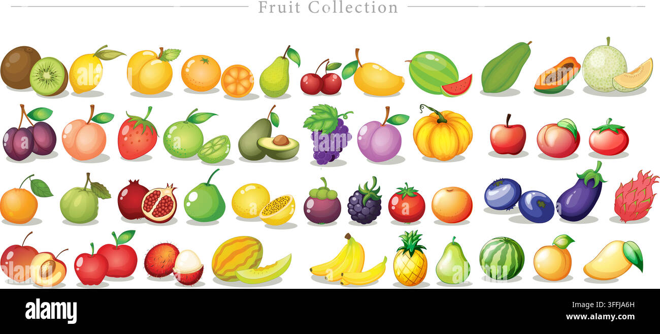 Ensemble vectoriel de collection de fruits comprenant des fruits tropicaux, des baies fraîches, de la pastèque, un bouquet de bananes, de l'ananas, du fruit du dragon et un ensemble de tranches d'agrumes. Illustration de Vecteur