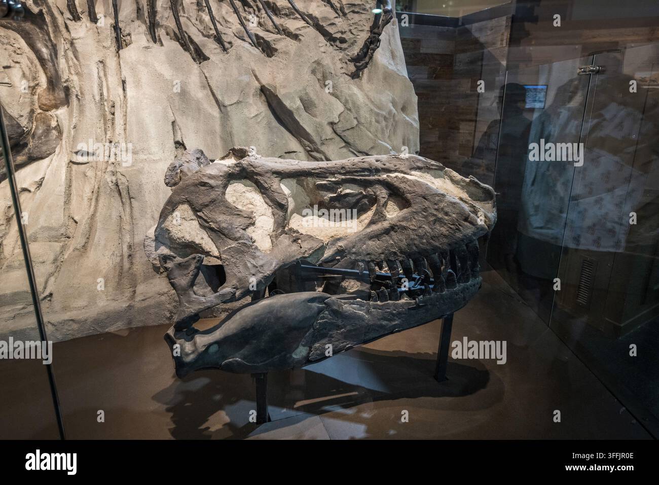 Le Royal Tyrrell Museum à Drumheller, Alberta, Canada. Le musée possède l'une des plus grandes collections de fossiles de dinosaures au monde. Banque D'Images